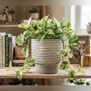 Wavy Ribbed Grey Concrete Planter - 5" Barrel Flower Pot for Indoor Outdoor